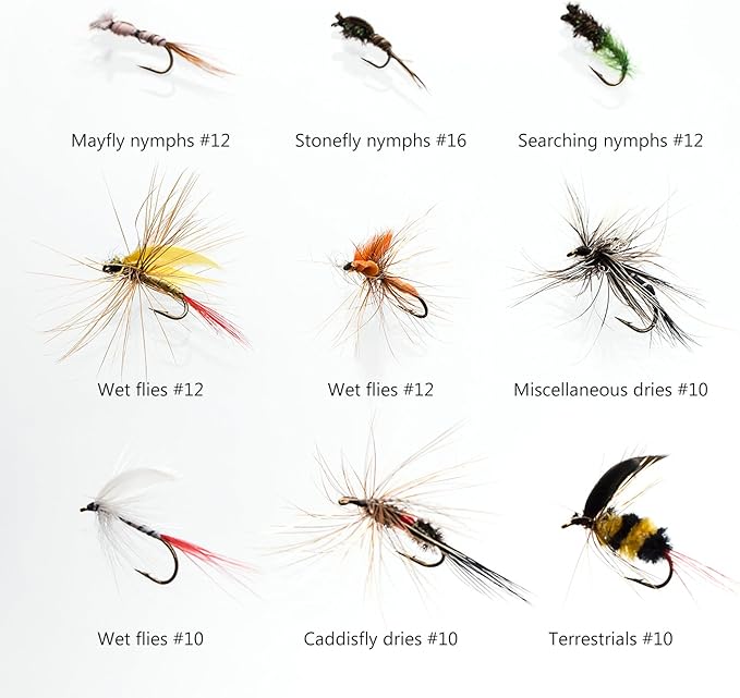 BASSDASH Fly Fishing Flies Kit Fly Assortment Trout Bass Fishing with Fly Box with Dry/Wet Flies, Nymphs, Streamers, Popper