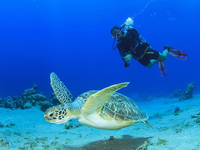 Snorkeling Gear for Adults with Fins Scuba Diving Gear Adult Professional Travel Snorkel Sets with Flippers,Anti-Fog Anti-Leak Diving Mask