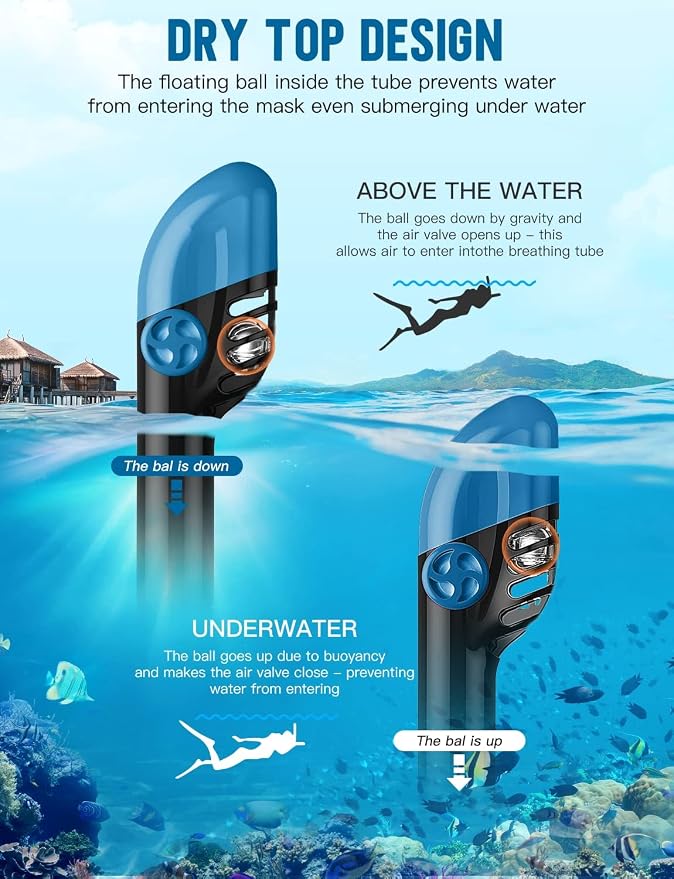 Full Face Snorkel Mask for Adults, 180° Panoramic Anti-Fog Snorkeling Gear with Dry Top System & Camera Mount, Foldable Anti-Leak Design for Travel, Swimming & Ocean Snorkeling