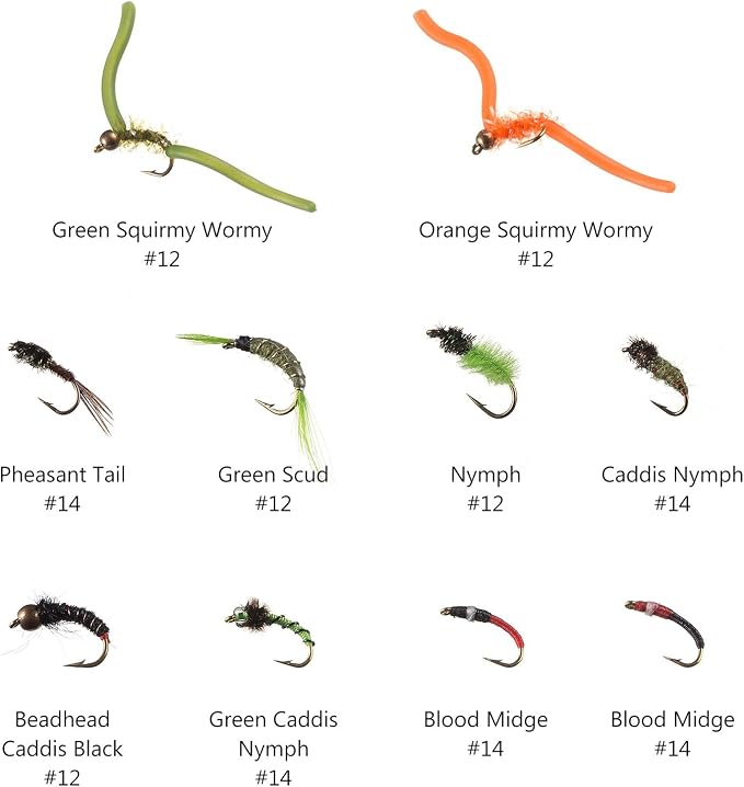 BASSDASH Fly Fishing Flies Kit Fly Assortment Trout Bass Fishing with Fly Box with Dry/Wet Flies, Nymphs, Streamers, Popper