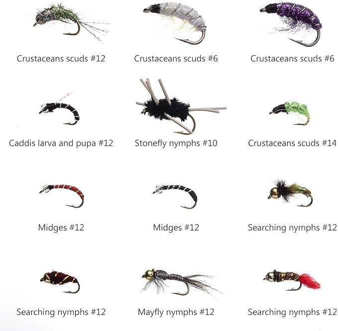 BASSDASH Fly Fishing Flies Kit Fly Assortment Trout Bass Fishing with Fly Box with Dry/Wet Flies, Nymphs, Streamers, Popper