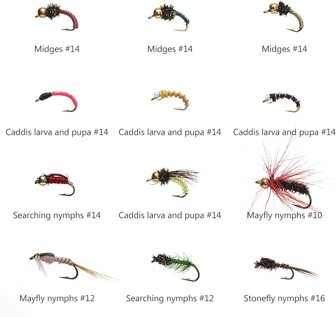 BASSDASH Fly Fishing Flies Kit Fly Assortment Trout Bass Fishing with Fly Box with Dry/Wet Flies, Nymphs, Streamers, Popper