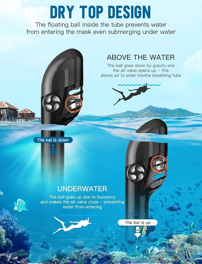 Full Face Snorkel Mask for Adults, 180° Panoramic Anti-Fog Snorkeling Gear with Dry Top System & Camera Mount, Foldable Anti-Leak Design for Travel, Swimming & Ocean Snorkeling