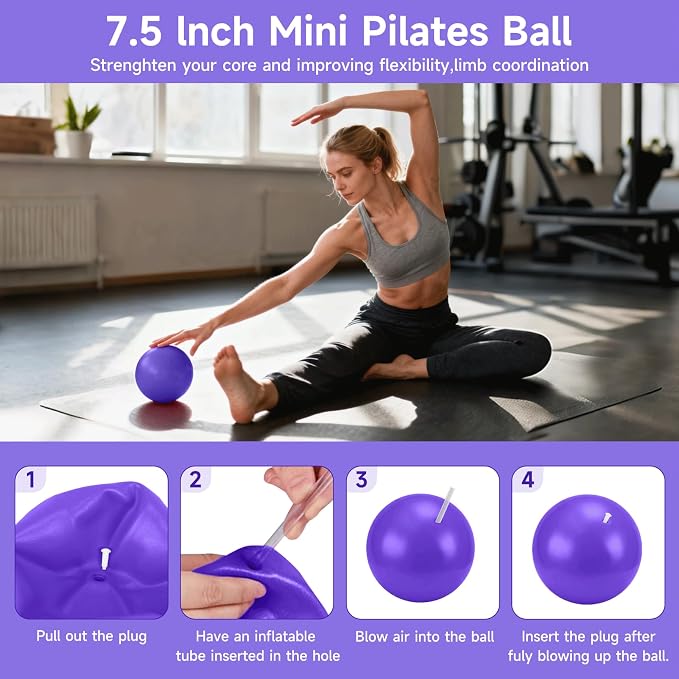 SANLIKE Home Pilates Essentials Kit for Women, Pilates Equipment Ring and Ball Set, 12'' Magic Circle, Yoga Ball,8 Resistance Bands Premium Accessories Kits for Starter Toning Workouts at Home