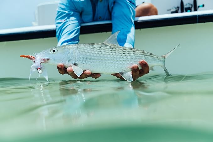 Berkley Gulp! Shrimp Saltwater Fishing Soft Bait