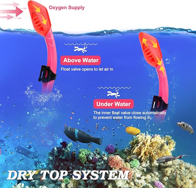 2 Sets Snorkeling Gear for Kids, Kids Snorkel Set for Ages 6-14, Dry Top Snorkel Mask Set for Youth Boys Girls Junior, Tempered Glass Diving Swimming Mask Goggles