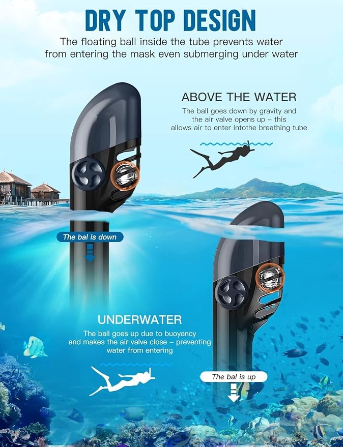 Full Face Snorkel Mask for Adults, 180° Panoramic Anti-Fog Snorkeling Gear with Dry Top System & Camera Mount, Foldable Anti-Leak Design for Travel, Swimming & Ocean Snorkeling