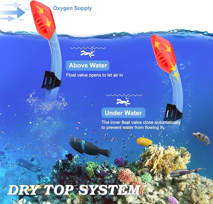 2 Sets Snorkeling Gear for Kids, Kids Snorkel Set for Ages 6-14, Dry Top Snorkel Mask Set for Youth Boys Girls Junior, Tempered Glass Diving Swimming Mask Goggles