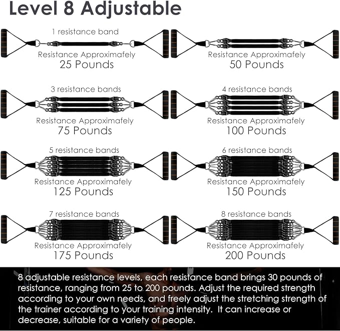Resistance Bands Set with Handles, 8 Levels up to 200 lb, Door Anchor, Foot Plate, Carry Bag, Home Gym Exercise Equipment for Full Body Workout