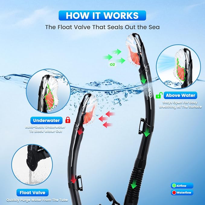 2 Pack Snorkel Mask for Adults - 180° Panoramic View, Anti-Fog Shatterproof PC Lens, Dry Snorkel Set for Diving, Swimming & Travel