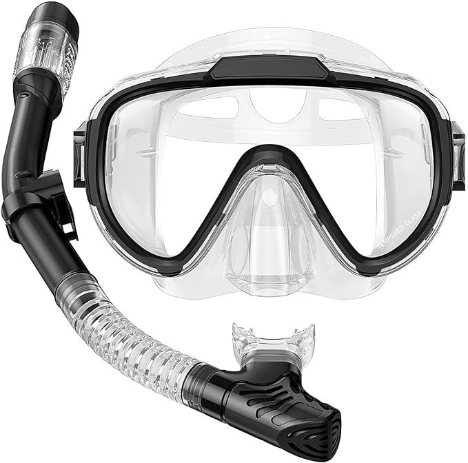 Seovediary Snorkel Set Adults Snorkeling Gear Anti-Fog Panoramic View Swim Mask Dry Top Snorkel Kit with Carry Bag for Snorkeling Scuba Diving Swimming Travel