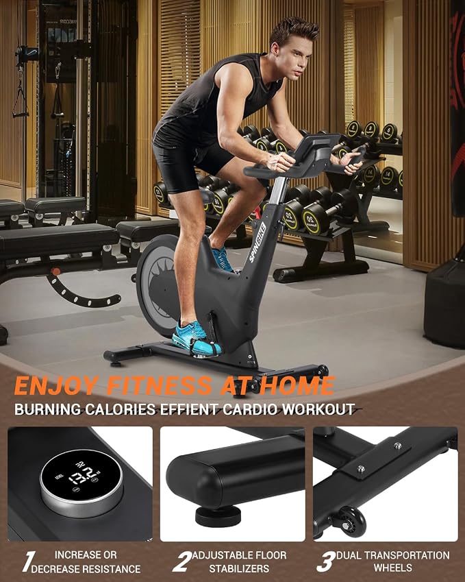 Magnetic Exercise Bike, 300 Lbs Capacity Stationary Bike with Adjustable Seat & Tablet Holder, Indoor Cardio Workout Cycling Bike, Silent Belt Drive Fitness Equipment, Silver