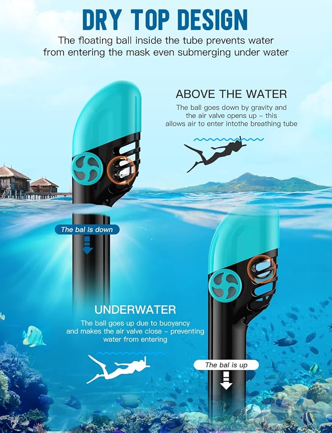 Full Face Snorkel Mask for Adults, 180° Panoramic Anti-Fog Snorkeling Gear with Dry Top System & Camera Mount, Foldable Anti-Leak Design for Travel, Swimming & Ocean Snorkeling