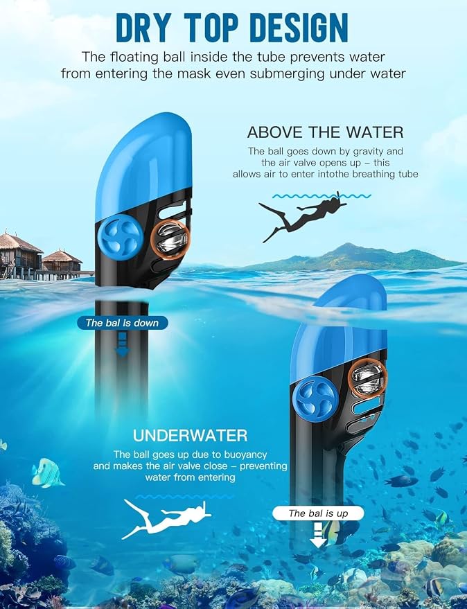 Full Face Snorkel Mask for Adults, 180° Panoramic Anti-Fog Snorkeling Gear with Dry Top System & Camera Mount, Foldable Anti-Leak Design for Travel, Swimming & Ocean Snorkeling