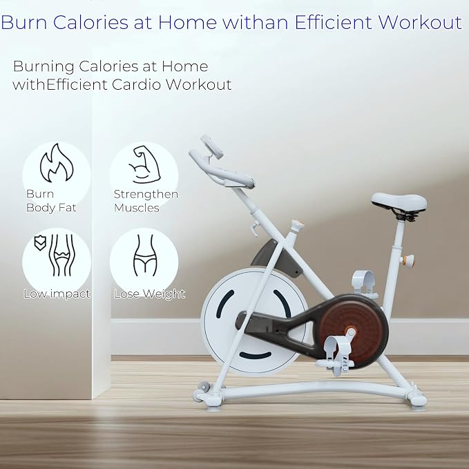NAYSAYE Exercise Bike, Adjustable Stationary Bikes with Smartphone Mount, Professional Exercise Bike with Digital Pulse Display for Home and Office