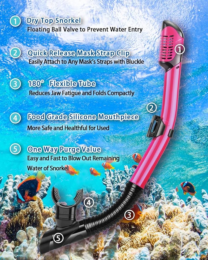 Snorkeling Gear for Adults, Adult Snorkel Set with Panoramic Anti-Leak and Anti-Fog Tempered Glass Snorkel Mask, Dry Top Snorkel, Snorkle Mask Set Adult with Mesh Bag Ear Plug for Snorkeling