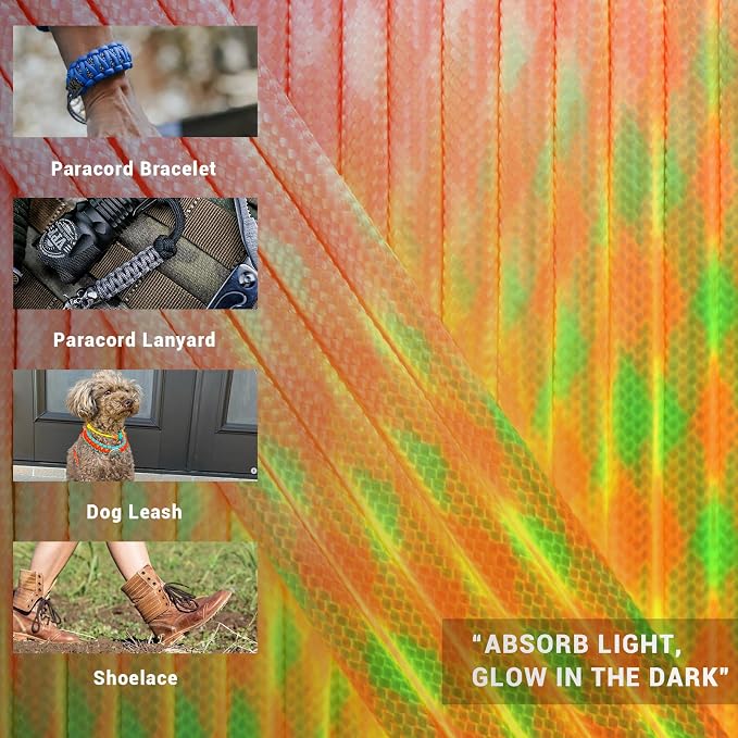 WEREWOLVES 550 Paracord Kits 100ft Each Color - 5 Colors Parachute Cord Combo 7 Strand Type III Parachute Cord 4mm for Crafting, Dog Collar, Survival Bracelets