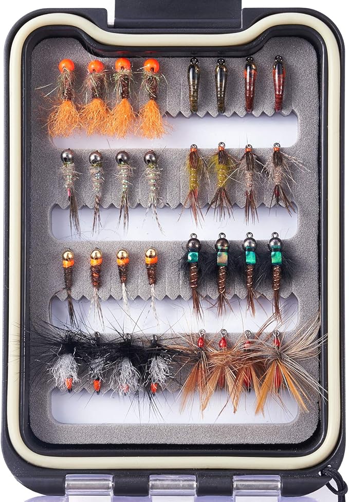BASSDASH Fly Fishing Flies Kit Fly Assortment Trout Bass Fishing with Fly Box with Dry/Wet Flies, Nymphs, Streamers, Popper