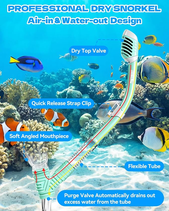 Aegend Snorkeling Gear for Kids Youth – 4-in-1 Snorkel Set with Anti-Fog Mask, Dry Snorkel & Adjustable Fins for Swimming, Diving, Snorkeling, Beach Vacation – Includes Travel Mesh Bag