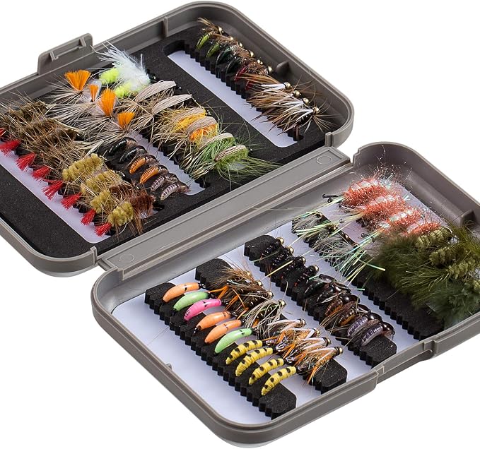 BASSDASH Fly Fishing Flies Kit Fly Assortment Trout Bass Fishing with Fly Box with Dry/Wet Flies, Nymphs, Streamers, Popper