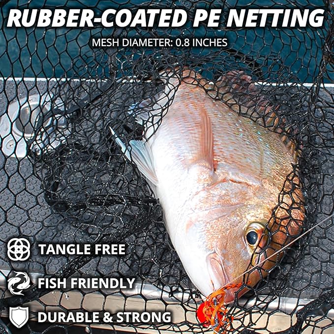Long Collapsible Landing Net, Large Fishing Net with Telescoping Handle, Foldable, Extendable, Lightweight & Strong, Fish Net with Fish-Friendly Mesh for a Safe Release