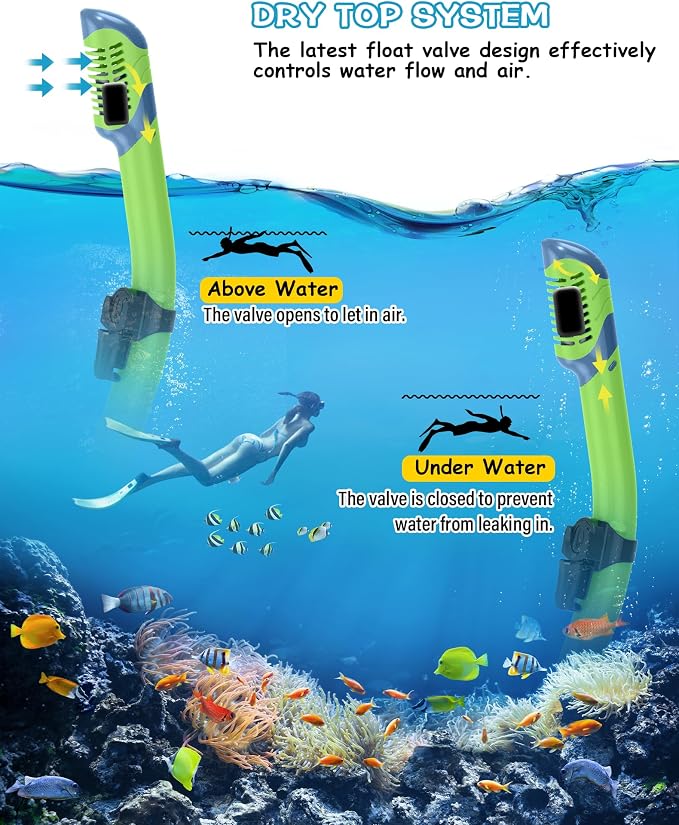 Greatever Snorkeling Gear for Adults, Dry Snorkel Set Panoramic View Snorkel Mask, Anti-Leak Anti-Fog Scuba Diving Swimming Mask with Adjustable Strap and Travel Mesh Bag