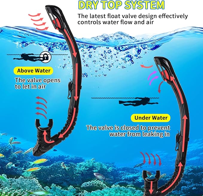 Snorkeling Gear for Adults Youth, Nearsighted Anti-Fog Diving Mask & Silicone Dry Snorkel for Scuba Diving Spearfishing Freediving
