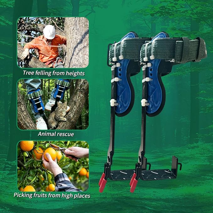 Tree Climbing Spikes Set–Stainless Steel Spurs with Safety Harness Belt, Non-Slip Foot Pedals for Fruit Picking