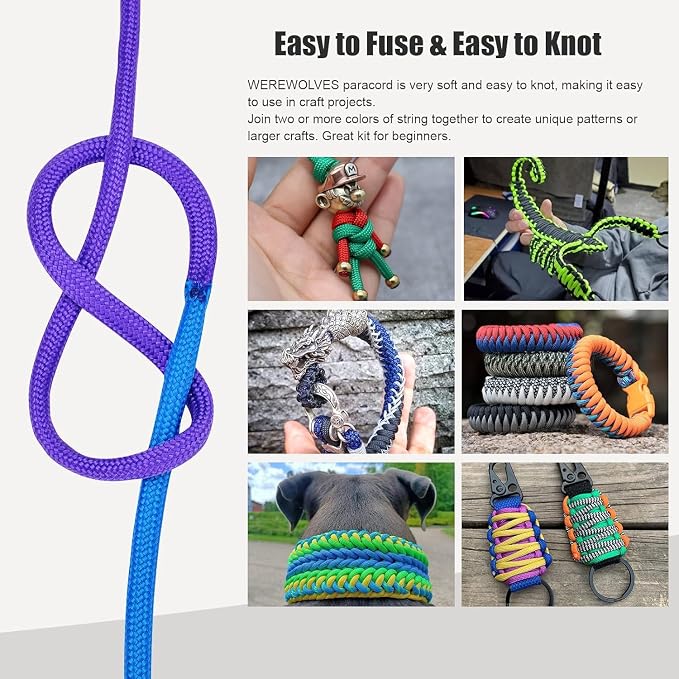 WEREWOLVES 60 Colors Paracord Cord, 550 Paracord Bracelet Crafting Combo Kits with Instruction - Multifunction Paracord Ropes, 10 Feet Each Parachute Cord for DIY Manual Braiding