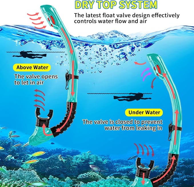 Snorkeling Gear for Adults Youth, Nearsighted Anti-Fog Diving Mask & Silicone Dry Snorkel for Scuba Diving Spearfishing Freediving