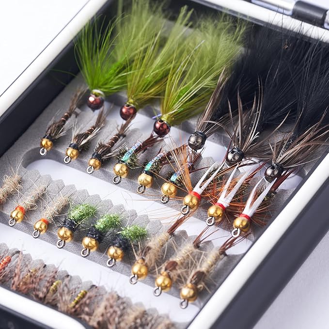 BASSDASH Fly Fishing Flies Kit Fly Assortment Trout Bass Fishing with Fly Box with Dry/Wet Flies, Nymphs, Streamers, Popper