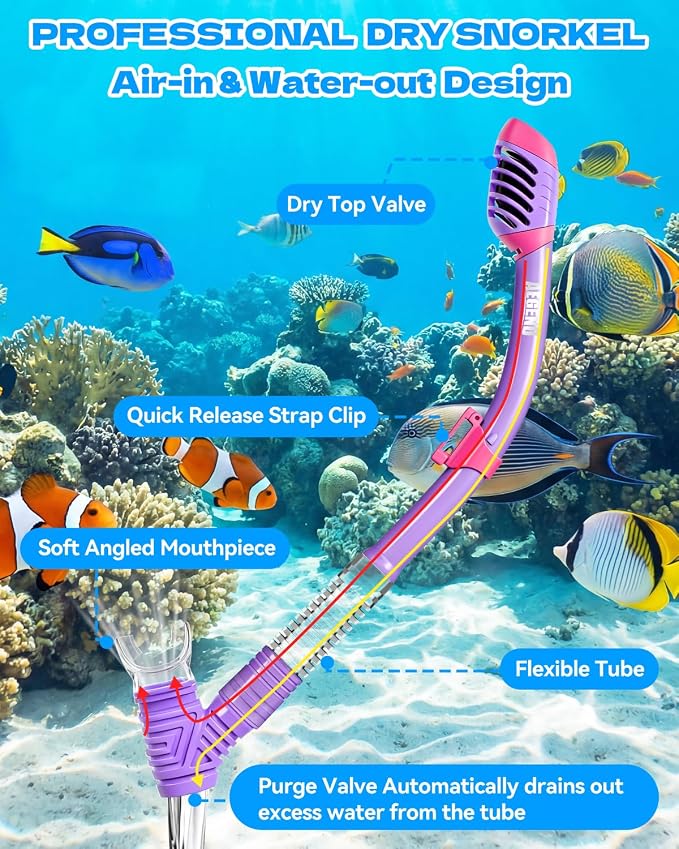 Aegend Snorkeling Gear for Kids Youth – 4-in-1 Snorkel Set with Anti-Fog Mask, Dry Snorkel & Adjustable Fins for Swimming, Diving, Snorkeling, Beach Vacation – Includes Travel Mesh Bag