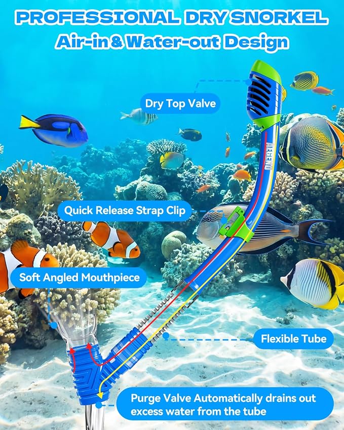 Aegend Snorkeling Gear for Kids Youth – 4-in-1 Snorkel Set with Anti-Fog Mask, Dry Snorkel & Adjustable Fins for Swimming, Diving, Snorkeling, Beach Vacation – Includes Travel Mesh Bag