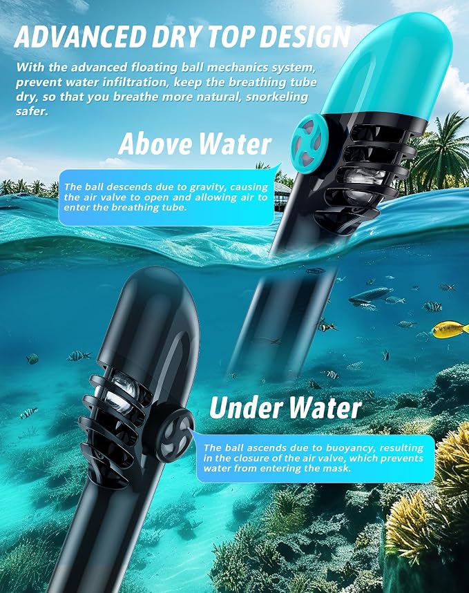 Full Face Snorkel Mask for Adults, 180° Panoramic Anti-Fog Snorkeling Gear with Dry Top System & Camera Mount, Foldable Anti-Leak Design for Travel, Swimming & Ocean Snorkeling