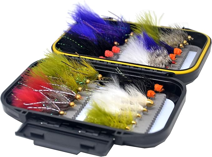 Outdoor Planet Premium Fly Fishing Flies Assortment, 12/24 /48 /66pcs Dry/Wet/Nymph/Streamer Flies, Trout/Bass/Panfish/Salmon Fishing Flies