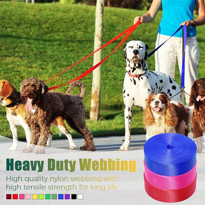 Nylon Webbing 1 Inch 1.5 Inch, 12 Rolls Webbing Strap for Bags, Pets, Climbing Outdoors Indoors Crafting DIY