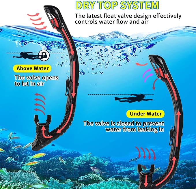 Nearsighted Snorkeling Gear for Adults Youth, Professional Shortsighted Full Dry Top Silicone Snorkel Set, Anti-Fog Diving Mask with Detachable Camera Mount for Scuba Diving, Spearfishing, Freediving