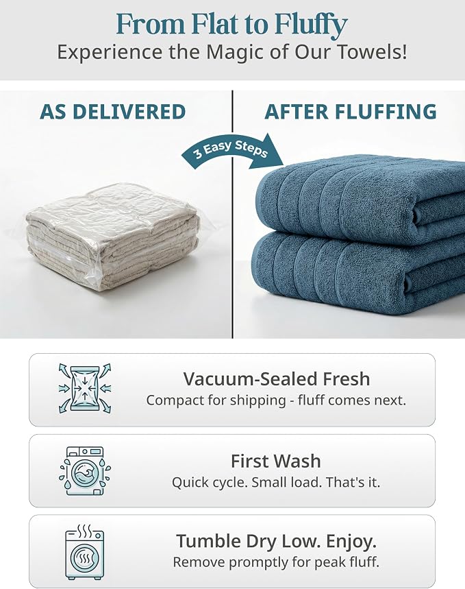 Casa Platino Bath Sheet Set, 4 Pack (36"x 72"), Hotel Towels, 100% Ring Spun Cotton Bath Sheets, Absorbent Towels, Quick Dry, Soft Towel - Steel Blue
