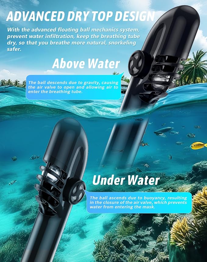 Full Face Snorkel Mask for Adults, 180° Panoramic Anti-Fog Snorkeling Gear with Dry Top System & Camera Mount, Foldable Anti-Leak Design for Travel, Swimming & Ocean Snorkeling