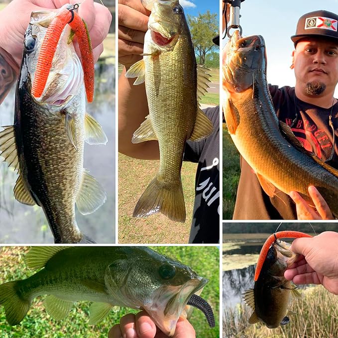 4"/5" Senko Worms Kit, Salt Impregnated Soft Plastic Lures | 30/50/78/100 Wacky Worms for Bass Fishing, Freshwater & Saltwater Applications,Artificial fishing bait