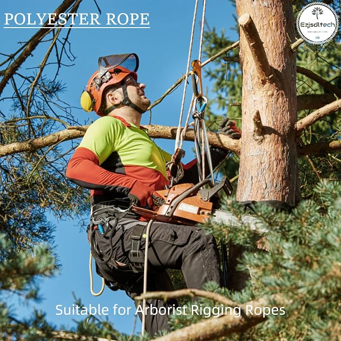 1/2 in x 100 ft Polyester Arborist Rigging Rope, Purple Braided Tree Climbing Rope 48 Strands for Farm Work and Swinging