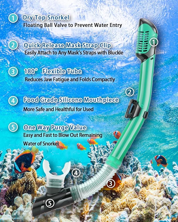 Snorkeling Gear for Adults, Adult Snorkel Set with Panoramic Anti-Leak and Anti-Fog Tempered Glass Snorkel Mask, Dry Top Snorkel, Snorkle Mask Set Adult with Mesh Bag Ear Plug for Snorkeling
