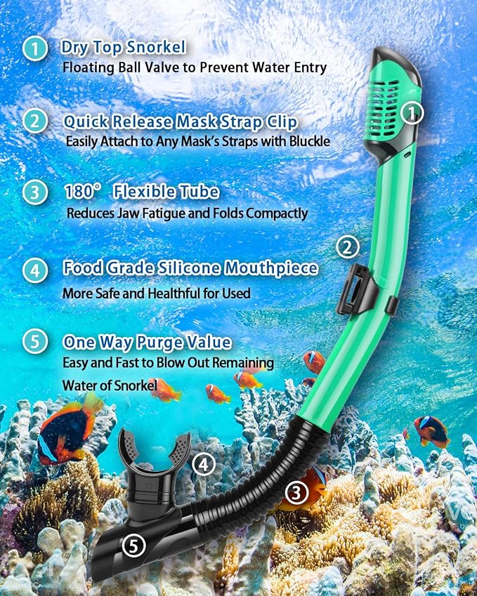 Snorkeling Gear for Adults, Adult Snorkel Set with Panoramic Anti-Leak and Anti-Fog Tempered Glass Snorkel Mask, Dry Top Snorkel, Snorkle Mask Set Adult with Mesh Bag Ear Plug for Snorkeling