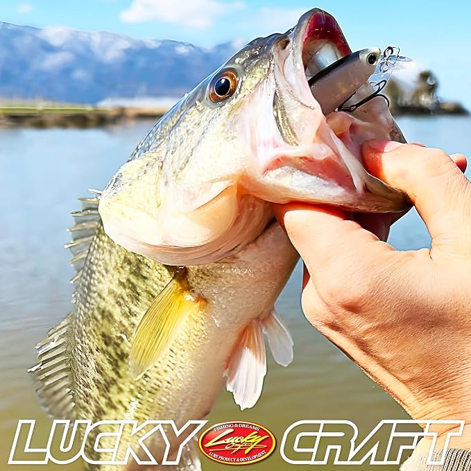 LUCKY CRAFT Pond Bass Premium Box, 7 Freshwater Fishing Lures for Pond and Lake Fish, Mystery Selection Tackle Box with Surprise Bass Lures, Fishing Gear Accessories