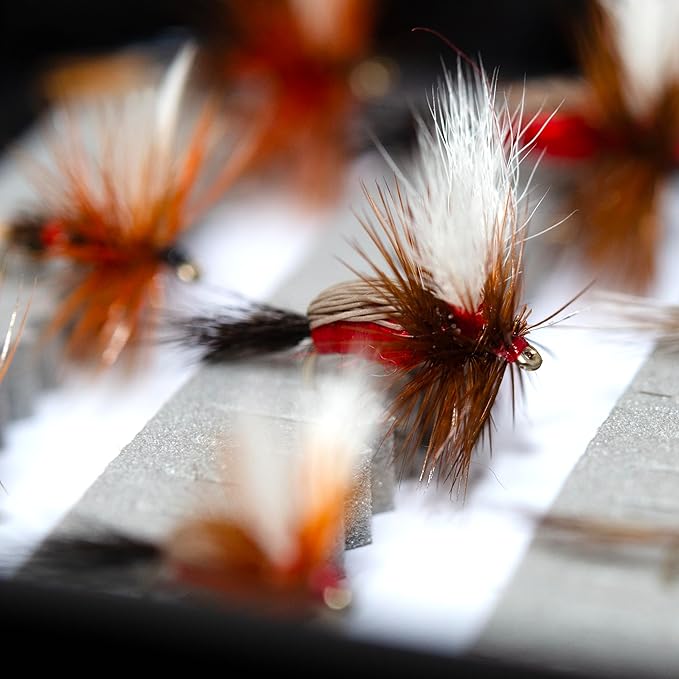 24/36/50/66 Premium Hand Tied Fly Fishing Flies Assortment | Waterproof Fly Boxes | Dry, Wet, Nymphs, Streamers, Wooly Buggers, Terrestrials | Trout, Bass Lure Set, Kit, Gift
