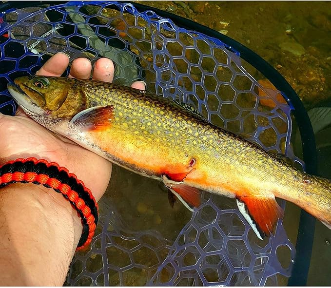Aventik Fly Floating Fishing Net Carbon Fiber Landing Trout Net Light Weight Clear Rubber Ghost Net Catch & Release