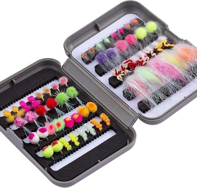 BASSDASH Fly Fishing Flies Kit Fly Assortment Trout Bass Fishing with Fly Box with Dry/Wet Flies, Nymphs, Streamers, Popper