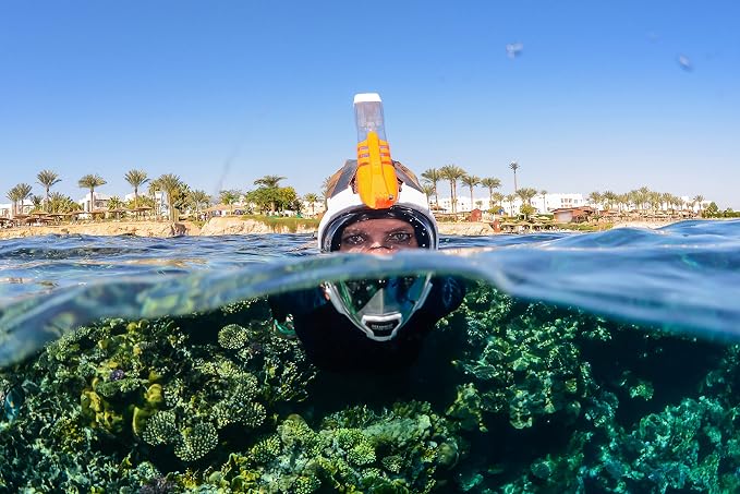 OCEAN REEF - Aria QR + Quick Release Snorkeling Mask - Full Face Snorkeling Mask - 180 Degree Underwater Vision - 8 Colours and 4 Sizes