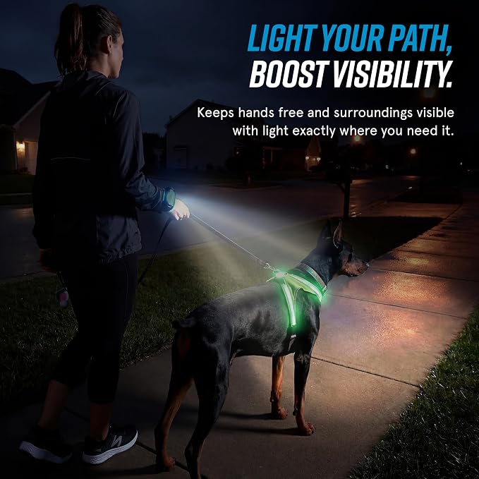 Noxgear LightHound (Large) + Wrist Light – Illuminated and Reflective Harness for Dogs Including Multicolored LED Fiber Optics (USB Rechargeable, Adjustable, Lightweight, Rainproof)