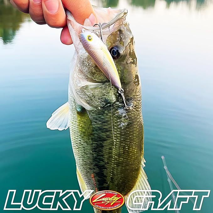 LUCKY CRAFT Pond Bass Premium Box, 7 Freshwater Fishing Lures for Pond and Lake Fish, Mystery Selection Tackle Box with Surprise Bass Lures, Fishing Gear Accessories